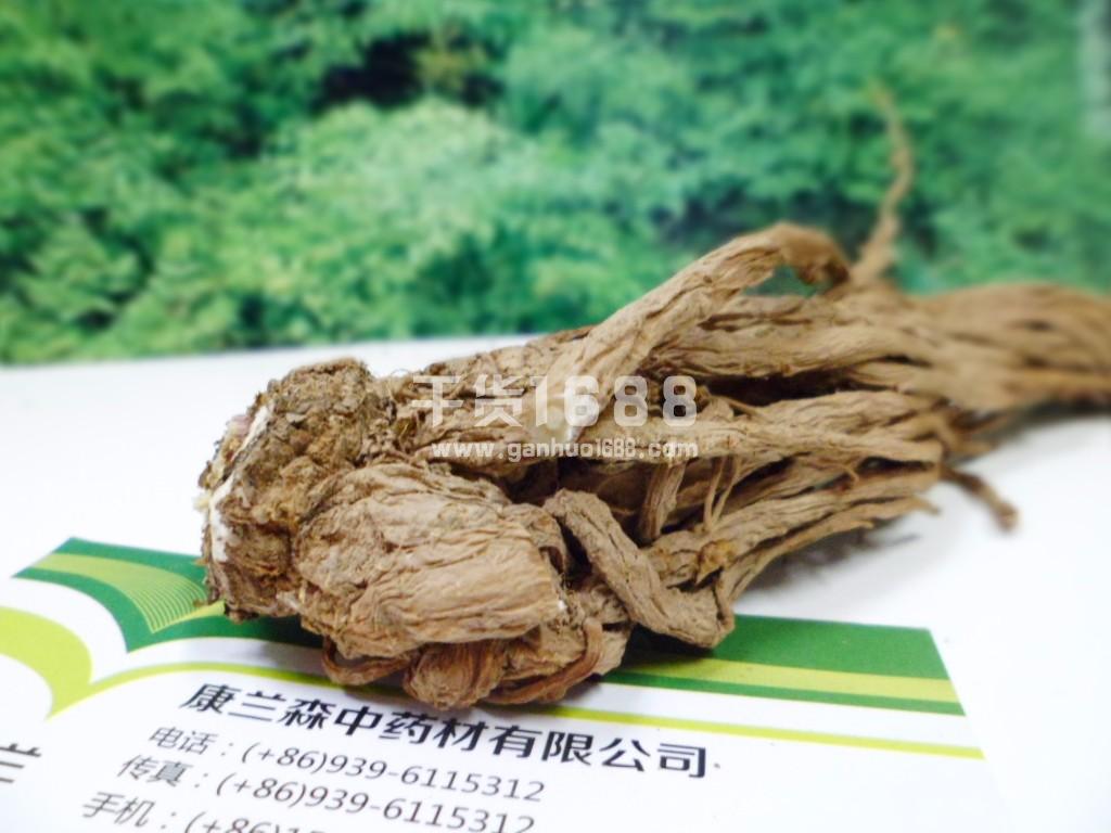 当归这首曲子的钢琴谱